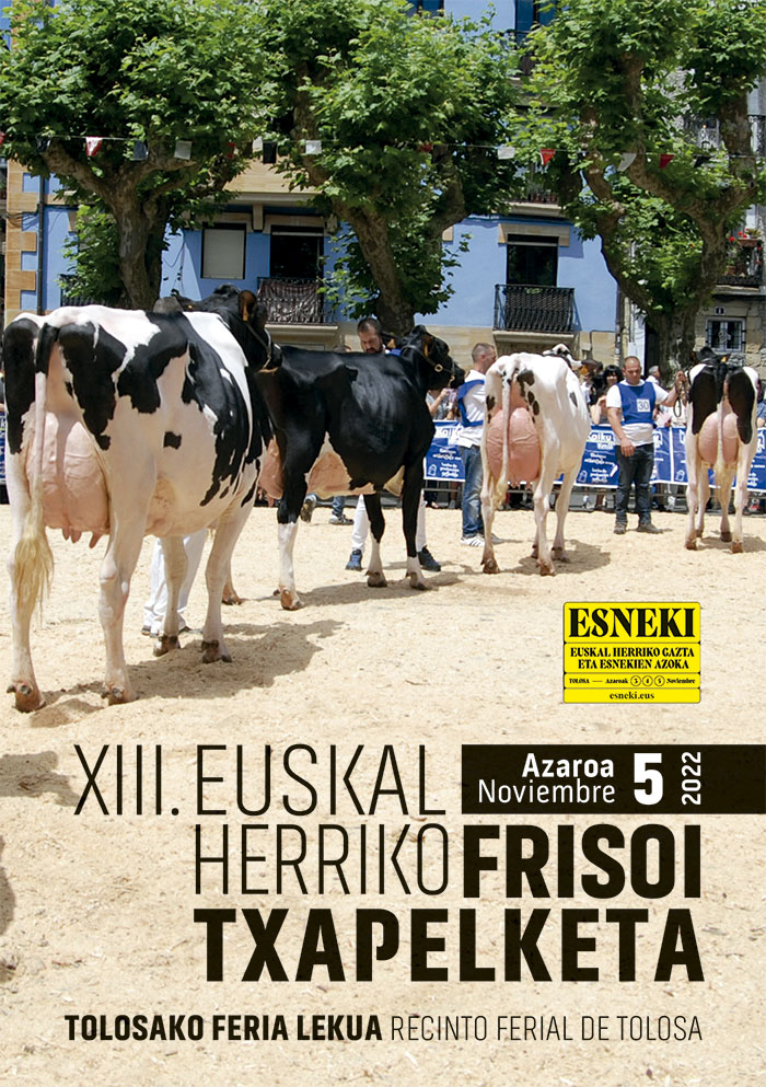XIII. Euskal Herriko Frisoi txapelketaren kartela